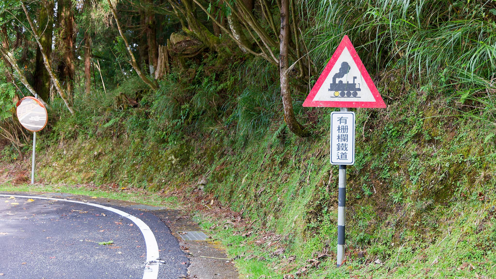 05 - Alishan (41).jpg